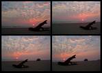 (07) dawn montage (day 5 - backup).jpg    (1000x720)    225 KB                              click to see enlarged picture